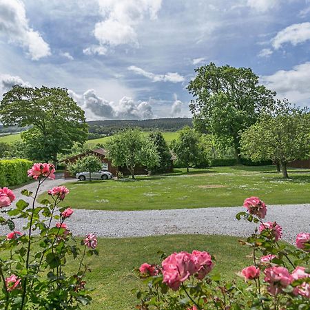 Laburnum Lodge Sleeps 6 Wheelchair Access Minehead Eksteriør billede
