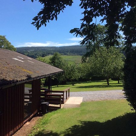 Laburnum Lodge Sleeps 6 Wheelchair Access Minehead Eksteriør billede
