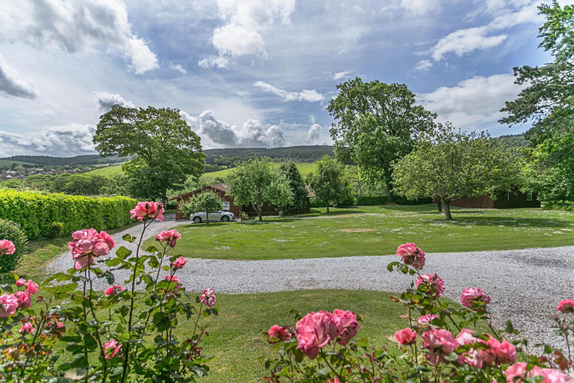 Laburnum Lodge Sleeps 6 Wheelchair Access Minehead Eksteriør billede